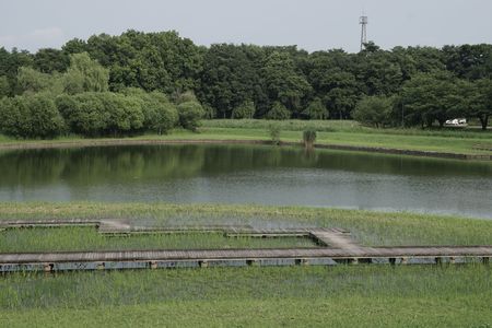 梅雨ですね....