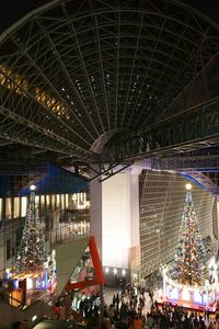 Double trees at Kyoto station 