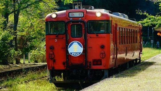 小湊鐡道・月崎駅・タラコ列車・急行富士