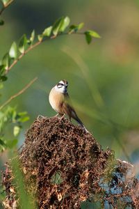 αでウォーキング