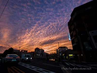 或る日の横浜夕景