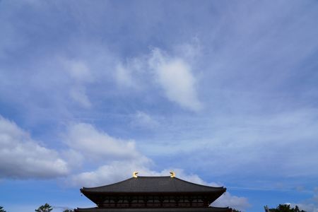 天平の甍…興福寺中金堂