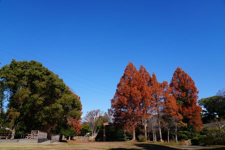 抜けるような…青空