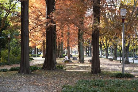 初冬の…都心の公園