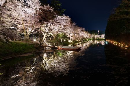 お堀に映された弘前城の桜