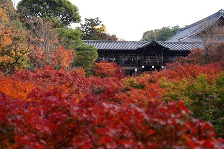 秋の京都8