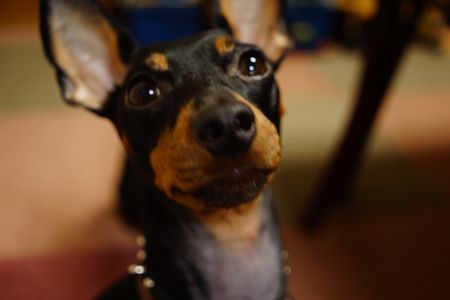 見つめる先は…