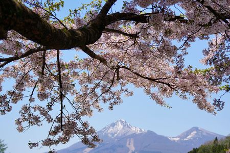 春色の磐梯山