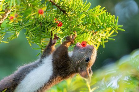 美味しい顔って♡どんな顔