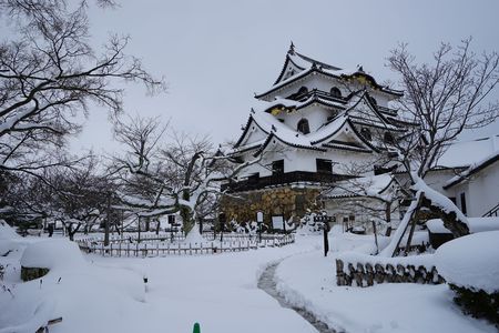 冬の彦根城
