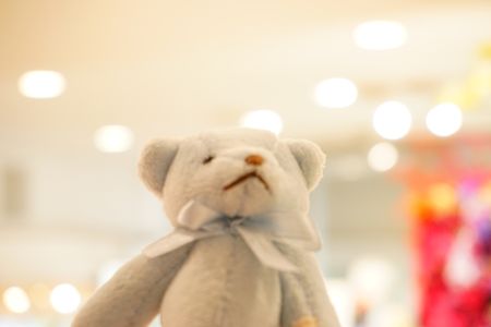 初めての玉ぼけ～クマの決意～