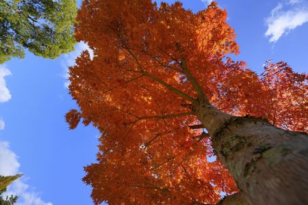 このショットが撮りたくて