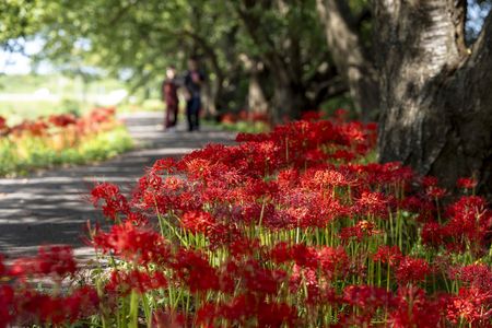 瞬間の切り取り
