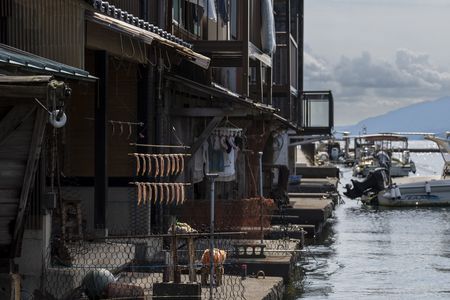 美味・採取の切り取り