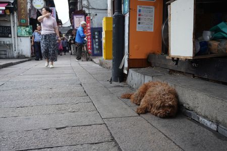 旅先で出会ったお友達