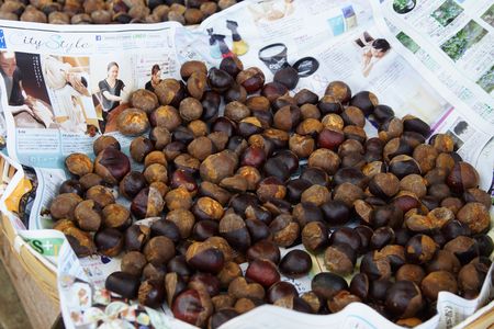 河内長野の奥河内no.2