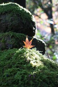 那谷寺にて