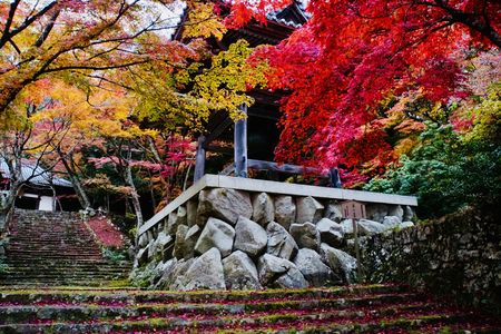 東光寺の紅葉