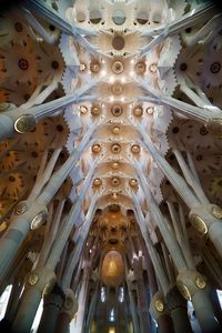 サグラダファミリアの天井