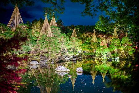 ⭐雪吊りの世界へ⭐