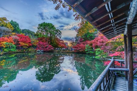 ⭐ライトアップ待つ夕暮れ⭐