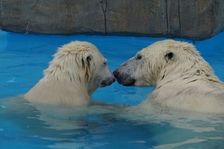 動物園