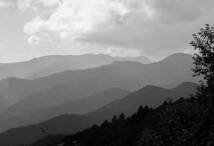 散歩の途中でみた夢