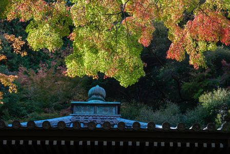 久安寺