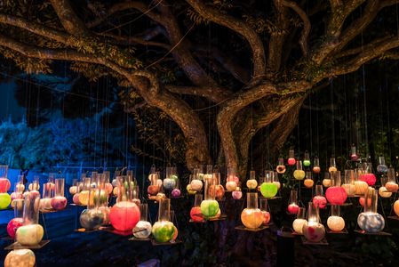 江の島　湘南キャンドル2025