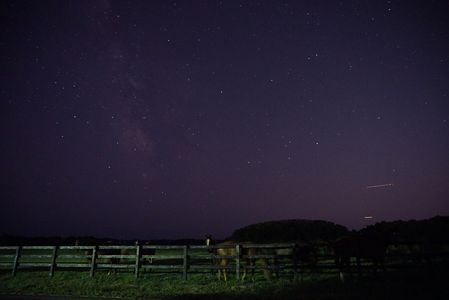 牧場の夜