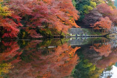 釣り人も　見とれているかな　紅葉映え