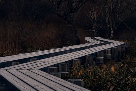 山路来て　冬が来る道　足跡が