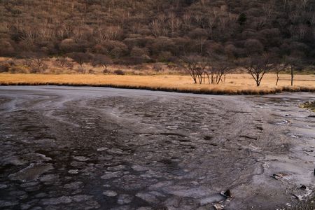 冬の訪れ　木々は見守る　復活を秘め