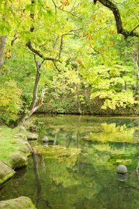 富良野　鳥沼公園