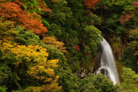 紅葉と滝　
