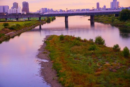 晩秋の多摩川と新幹線
