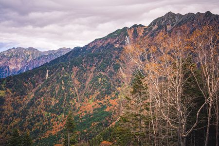 -Autumn Peaks- 紅葉の稜線　笠・槍・西穂