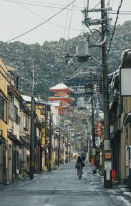 雪解けの道をゆく