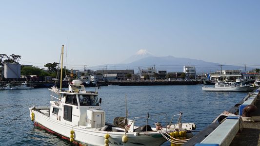 沼津漁港と富士山