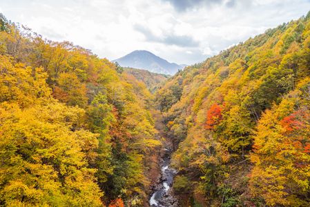 秋のみちのくを行く　～磐梯吾妻レークライン～