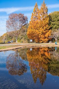 三木山森林公園