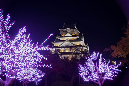 大阪城イルミネーション
