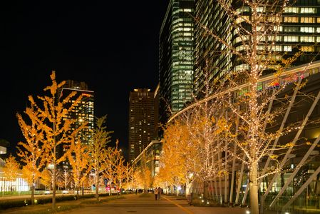 師走の大阪を徒然なるままにカメラを持ちて②