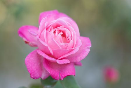 木枯らしに抱かれて