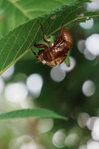 とある晩夏の一日