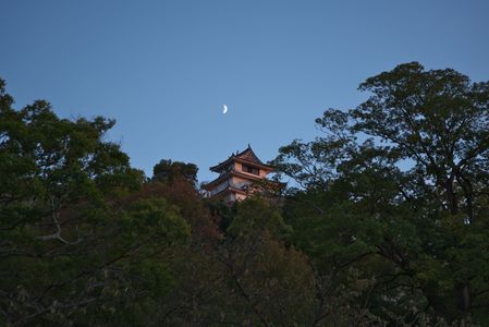 夕日に染まる丸亀城と月