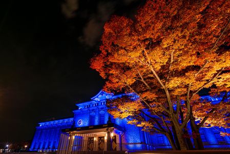 紅葉と美術館と。。。