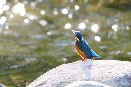 明日に向かって！