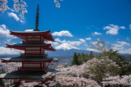 富士山麓の春景色