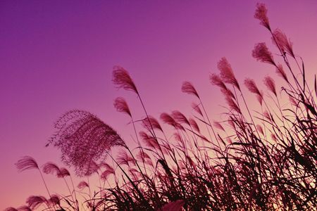 グッバイ・デイ